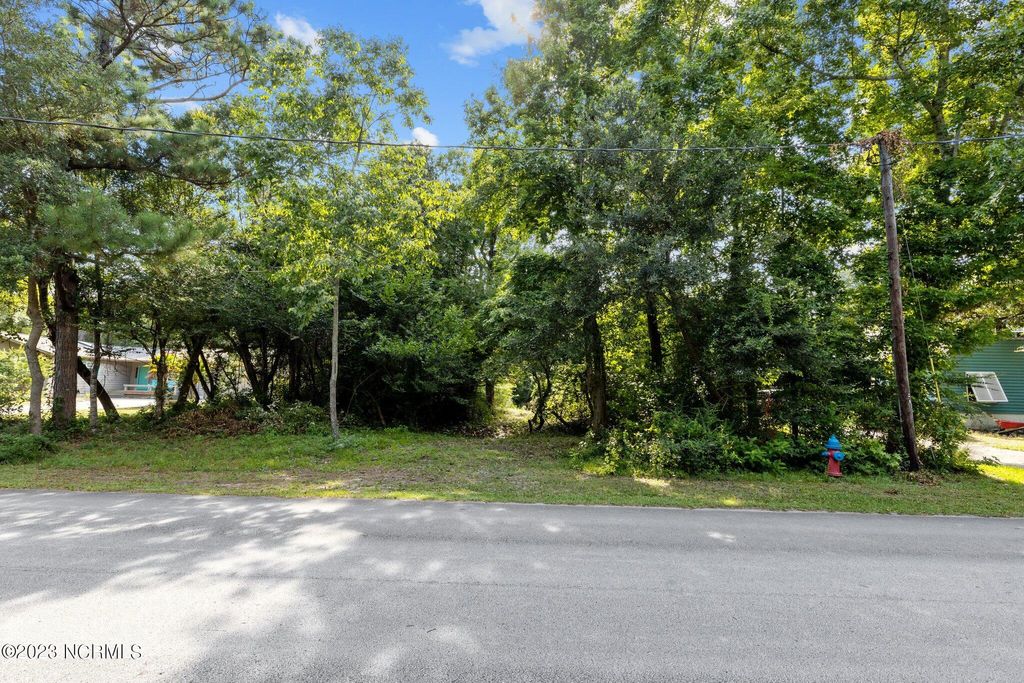 Photo of 149 Arborvitae Drive, Pine Knoll Shores, NC 28512 (MLS # 100396196)