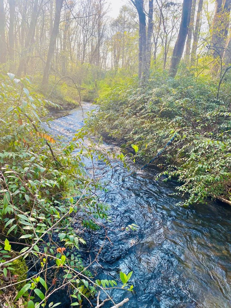 Lot 5 Carringer Road