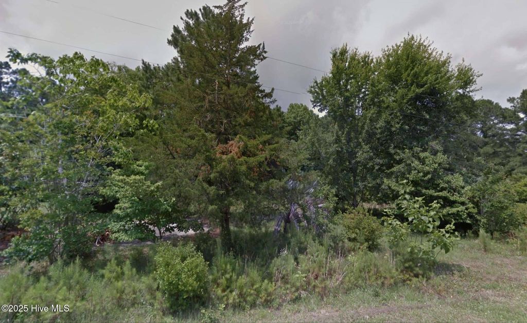 Photo of 4280 Happy Valley Lane SW, Shallotte, NC 28470 (MLS # 100505895)