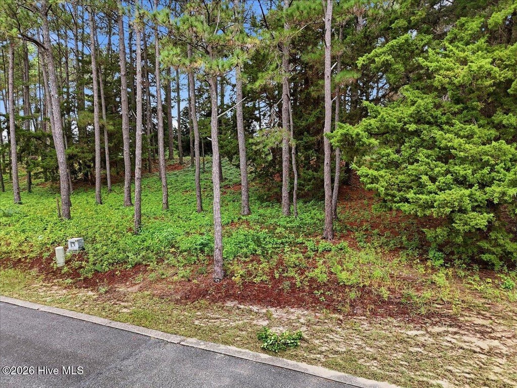 Photo of 4042 Barnes Bluff Drive SE, Southport, NC 28461 (MLS # 100611255)