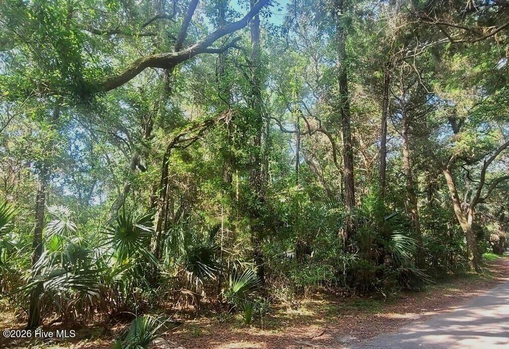 Photo of 64 Dowitcher Trail, Bald Head Island, NC 28461 (MLS # 100577032)