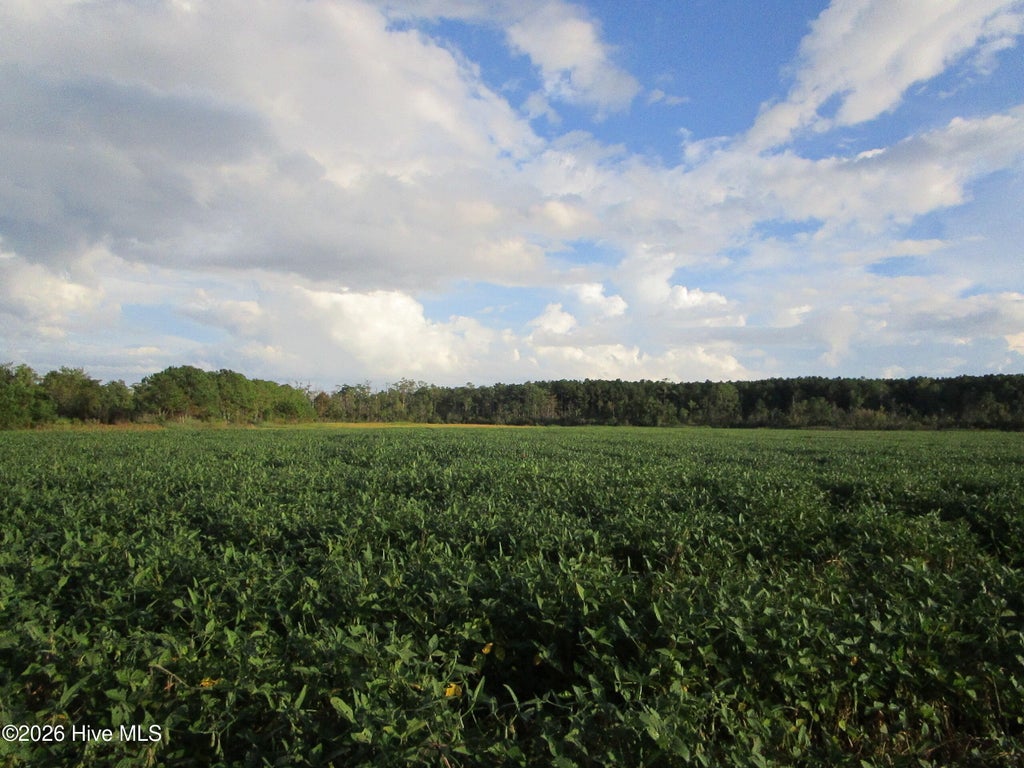 Photo of 0 Bluff Point Road, Elizabeth City, NC 27909 (MLS # 100607974)