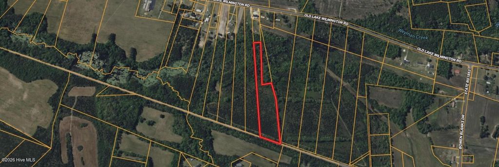 Photo of 0 Near 11835 Old Lake, Riegelwood, NC 28456 (MLS # 100570885)