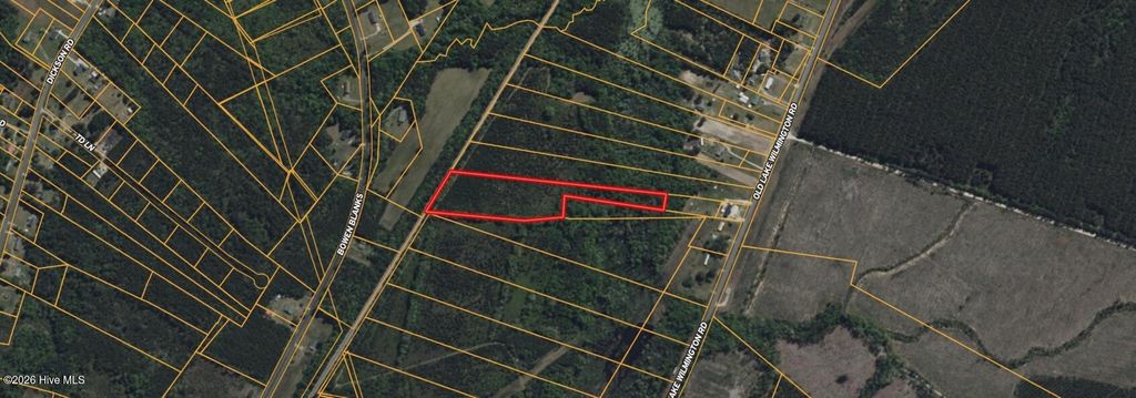 Photo of 0 Near 11835 Old Lake, Riegelwood, NC 28456 (MLS # 100570885)