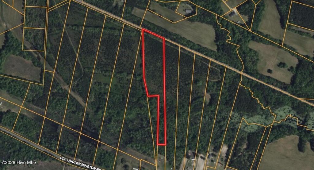 Photo of 0 Near 11835 Old Lake, Riegelwood, NC 28456 (MLS # 100570885)