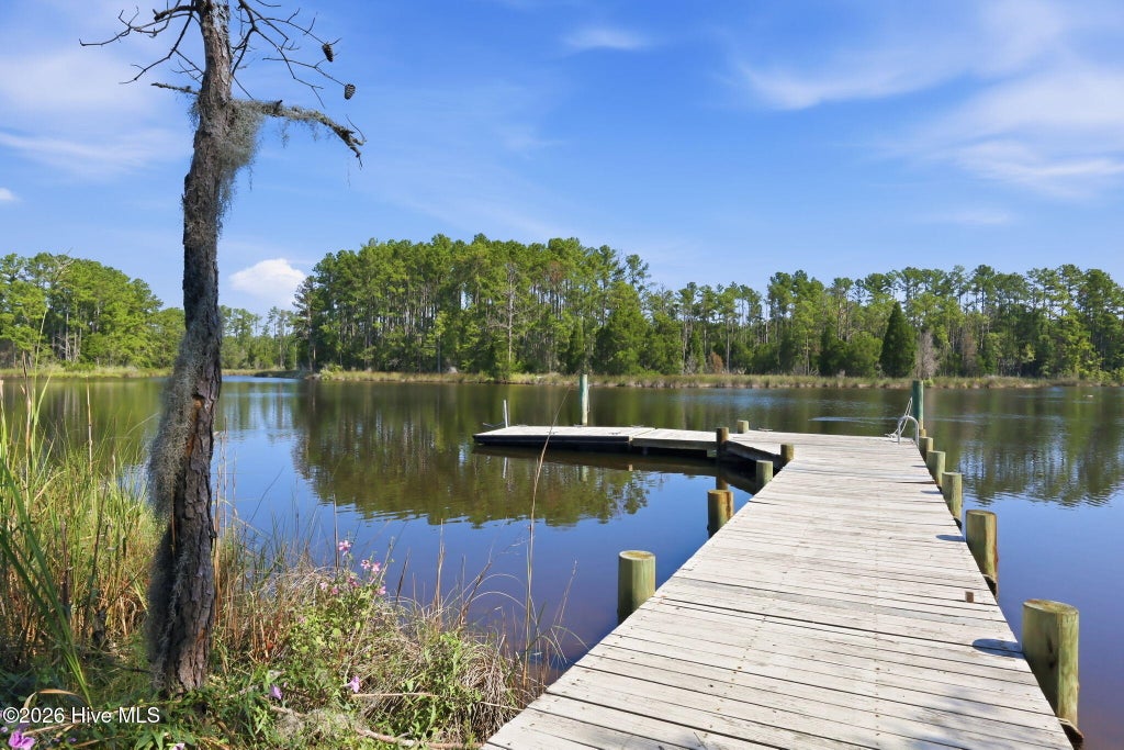 Photo of 931 Schrams Beach Road, Belhaven, NC 27810 (MLS # 100600230)