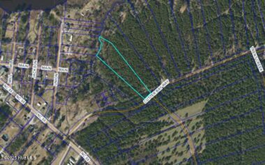 Photo of 137 Cutter Bay Way, Stonewall, NC 28583 (MLS # 100543316)