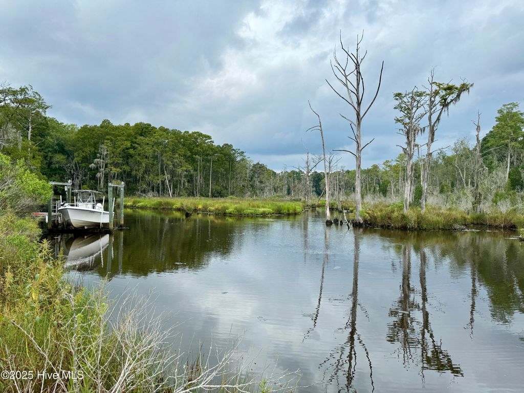 Photo of 263 Treasure Point Road, Bath, NC 27808 (MLS # 100546747)