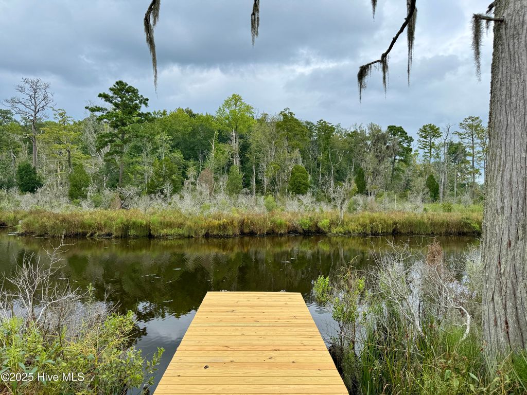 Photo of 263 Treasure Point Road, Bath, NC 27808 (MLS # 100546747)