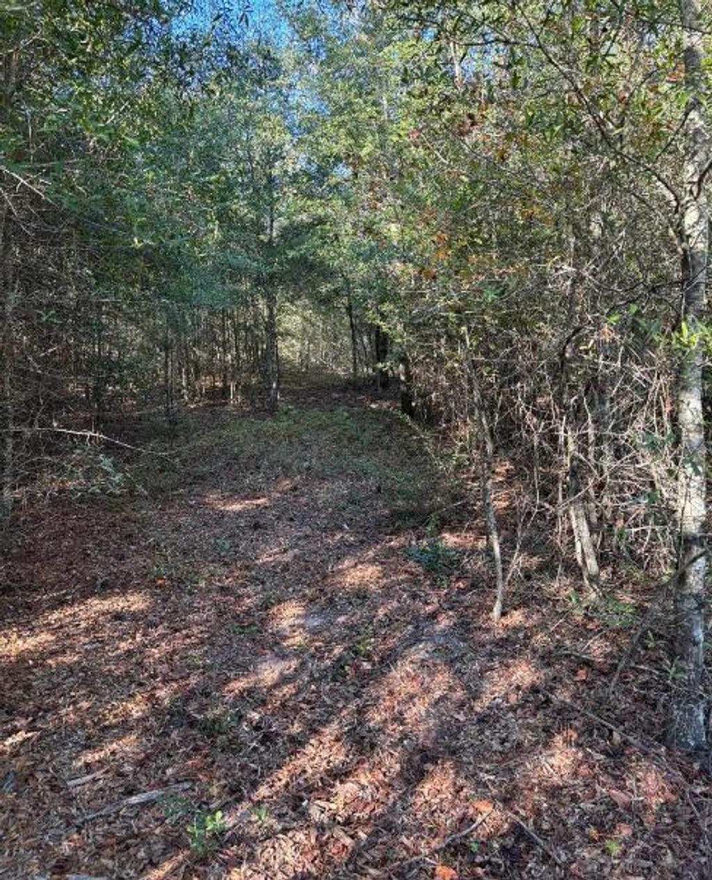 Photo of 7 Pearl Bonnett, Windsor, SC 29856 (MLS # 551128)