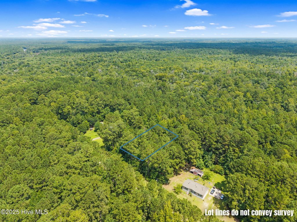 Photo of 7112 Mosquito Hill Road NW, Ash, NC 28420 (MLS # 100521976)