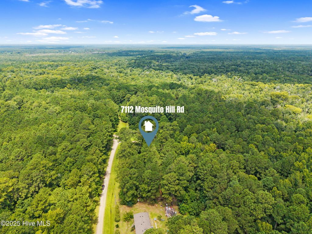 Photo of 7112 Mosquito Hill Road NW, Ash, NC 28420 (MLS # 100521976)