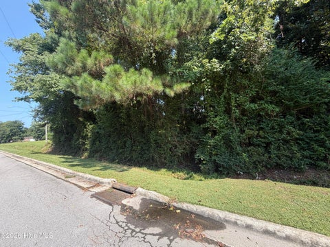 Tiny photo for 256 Sylvester Street, Richlands, NC 28574 (MLS # 100595602)