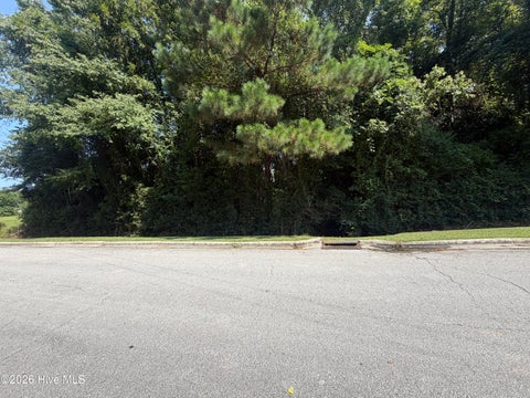 Tiny photo for 256 Sylvester Street, Richlands, NC 28574 (MLS # 100595602)