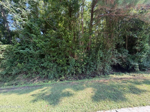 Tiny photo for 256 Sylvester Street, Richlands, NC 28574 (MLS # 100595602)