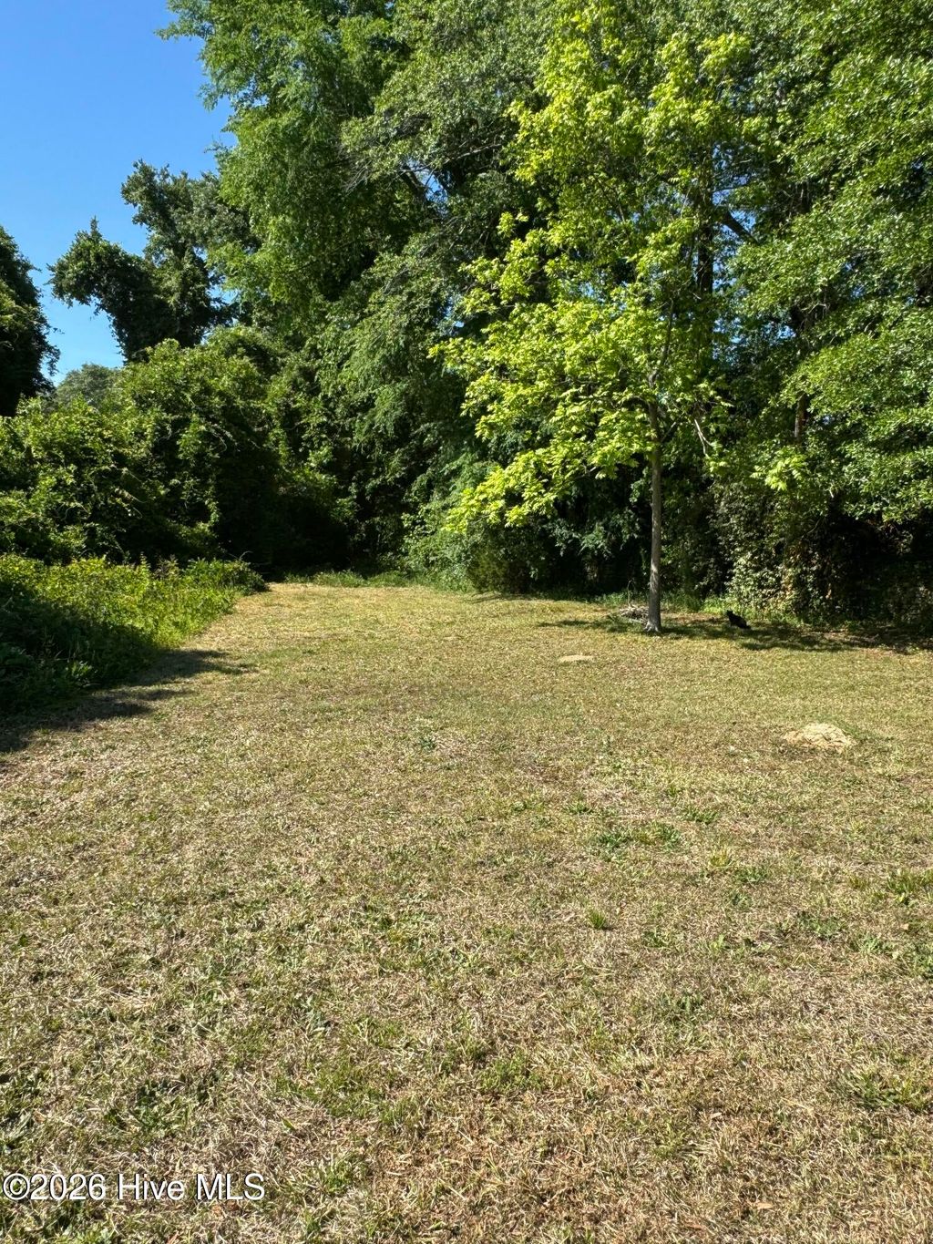 Photo of 611 Leak Street, Rockingham, NC 28379 (MLS # 100571582)