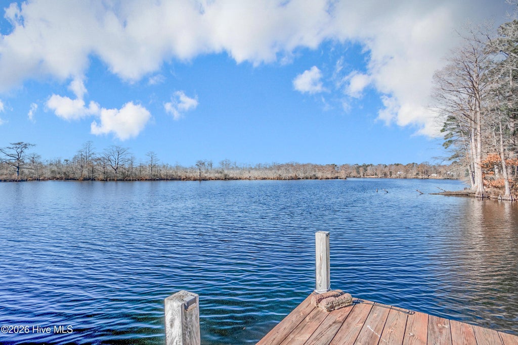 Photo of 199 Knowles Landing Drive, Hertford, NC 27944 (MLS # 100601293)