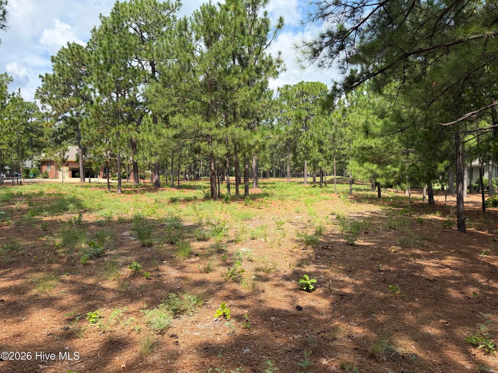 Photo of 21 Strathaven Drive, Pinehurst, NC 28374 (MLS # 100600389)