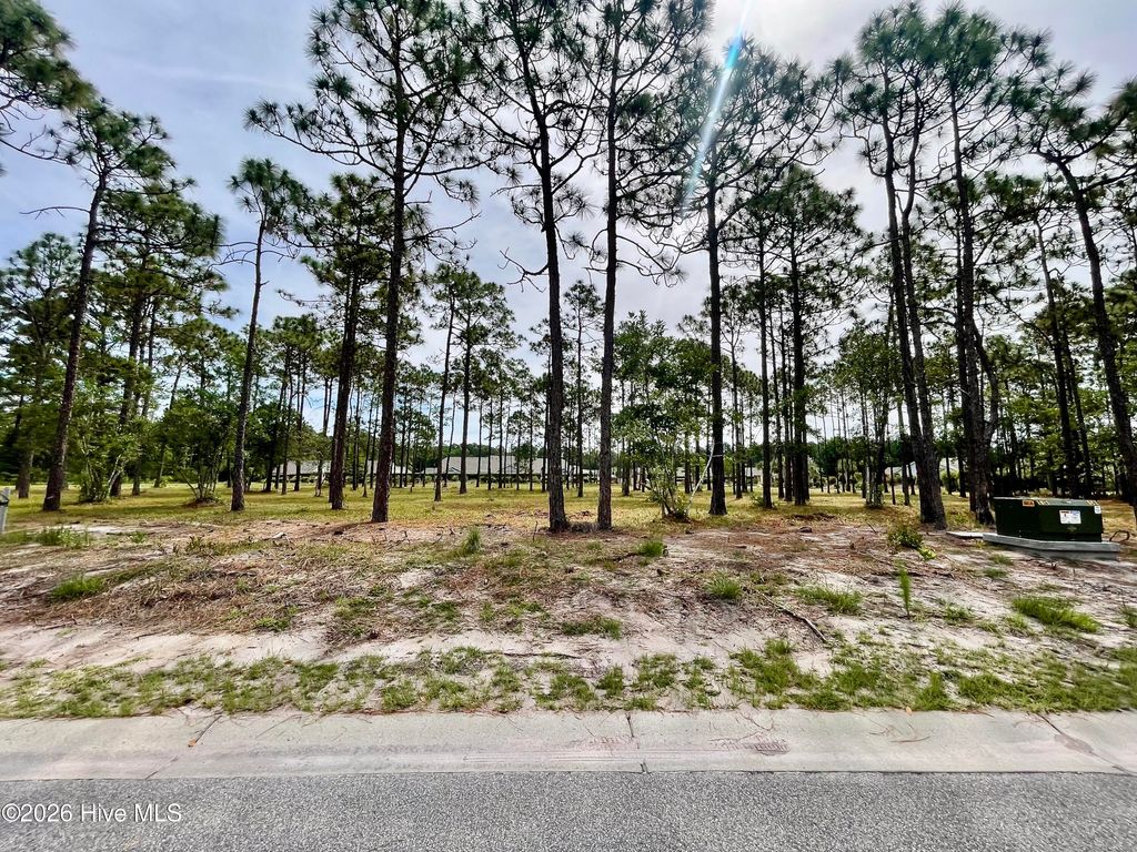 Photo of 6808 Beckman Circle SW, Ocean Isle Beach, NC 28469 (MLS # 100588650)
