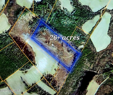 Vacant Land For Sale - 2 Harrells Highway<br/> Garland, NC 28441