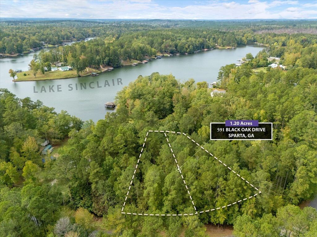 Photo of 591 Black Oak Dr Drive, Sparta, GA 31087 (MLS # 548114)