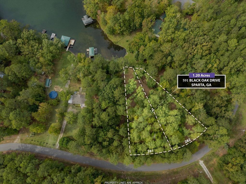 Photo of 591 Black Oak Dr Drive, Sparta, GA 31087 (MLS # 548114)