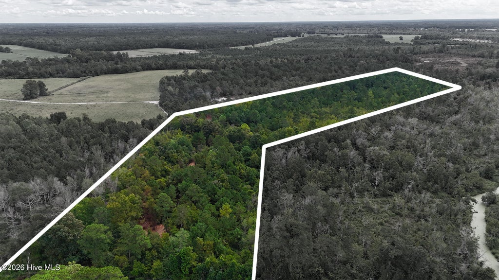 Photo of 5 Bull Tail Road, Wallace, NC 28466 (MLS # 100603209)