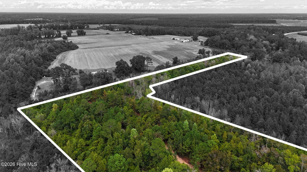 Photo of 5 Bull Tail Road, Wallace, NC 28466 (MLS # 100603209)