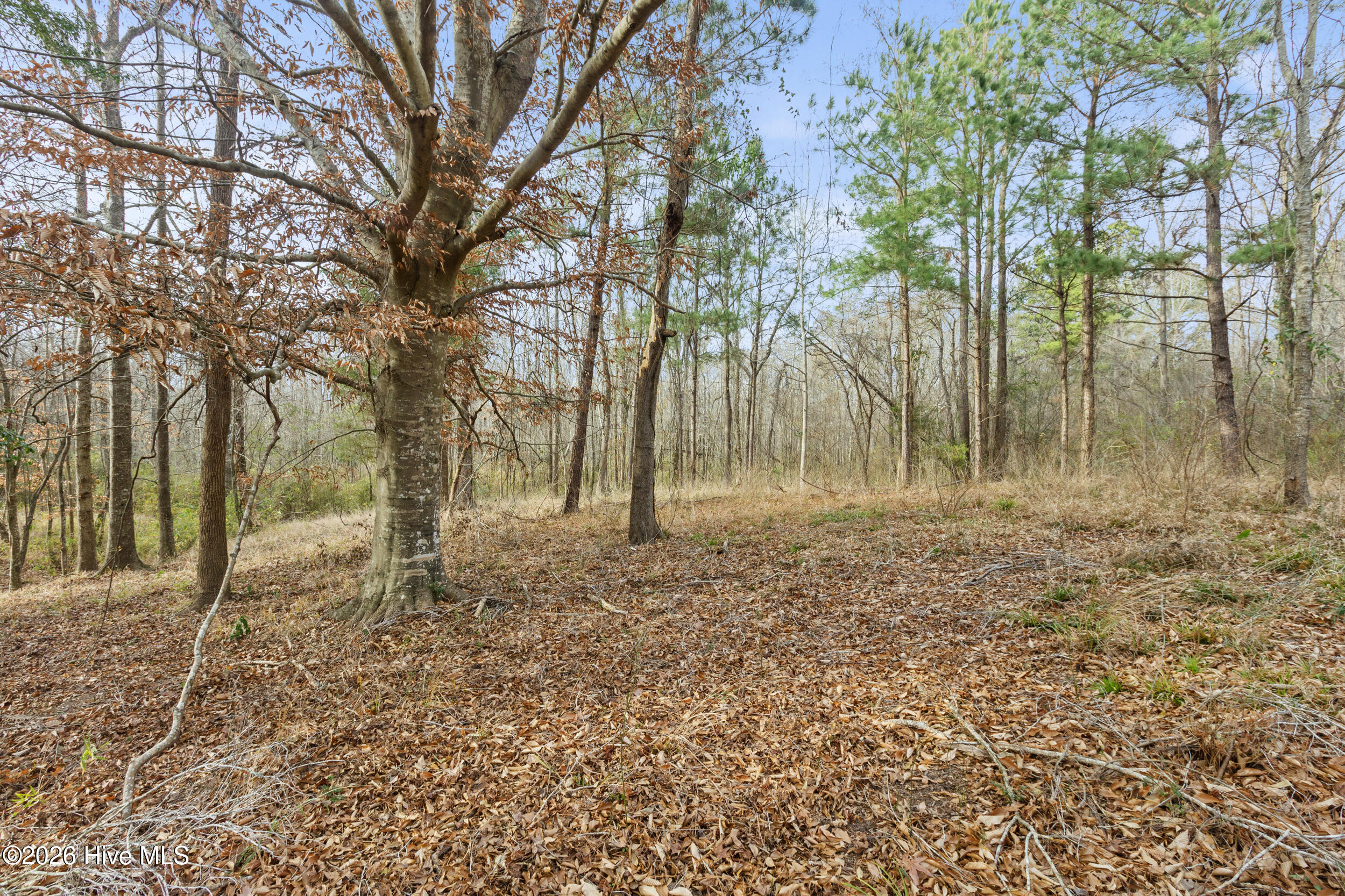 2711 Old Airport Road A