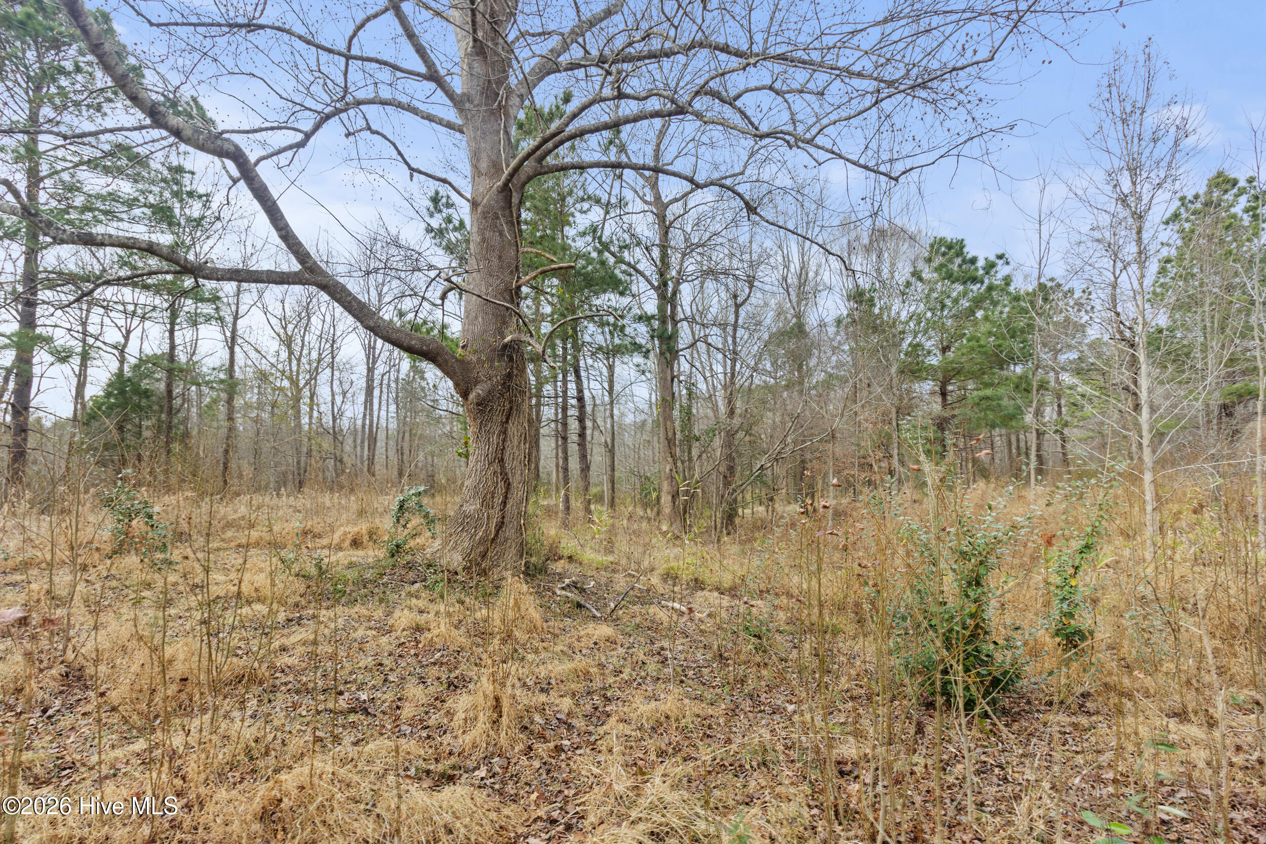 2711 Old Airport Road A