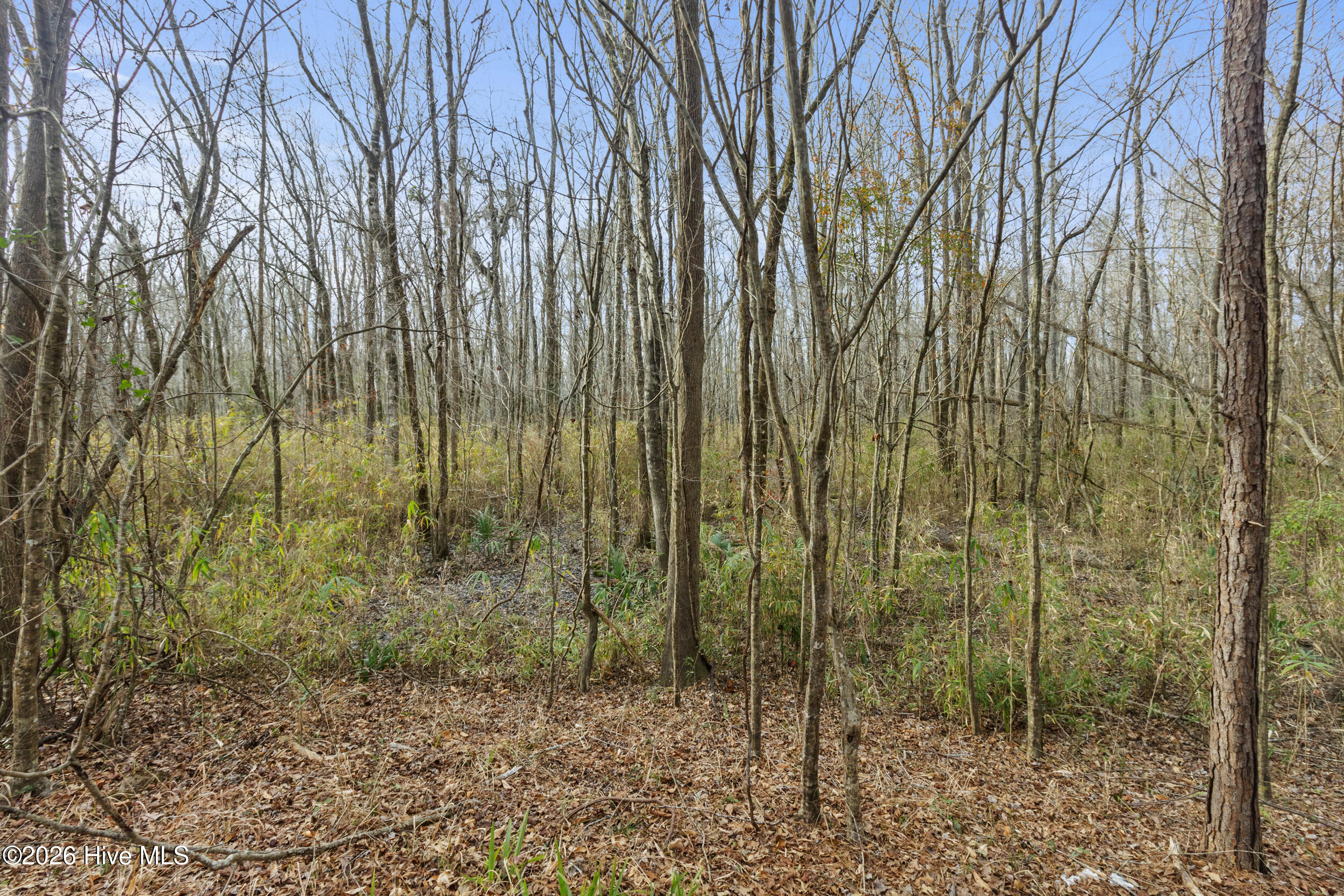 2711 Old Airport Road A