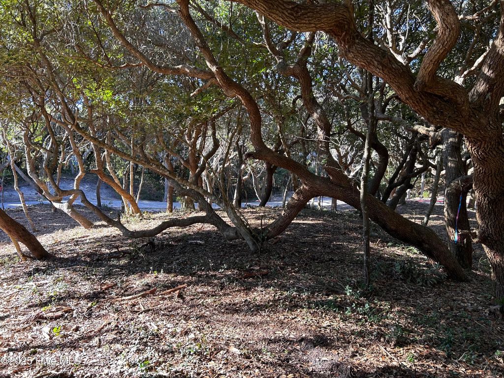 Photo of 101 Roosevelt Reserve Park Place Dr, Pine Knoll Shores, NC 28512 (MLS # 100545360)