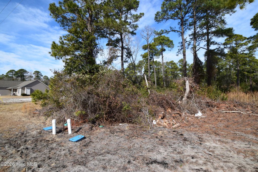 Photo of 2202 Caracara Drive, New Bern, NC 28560 (MLS # 100554536)