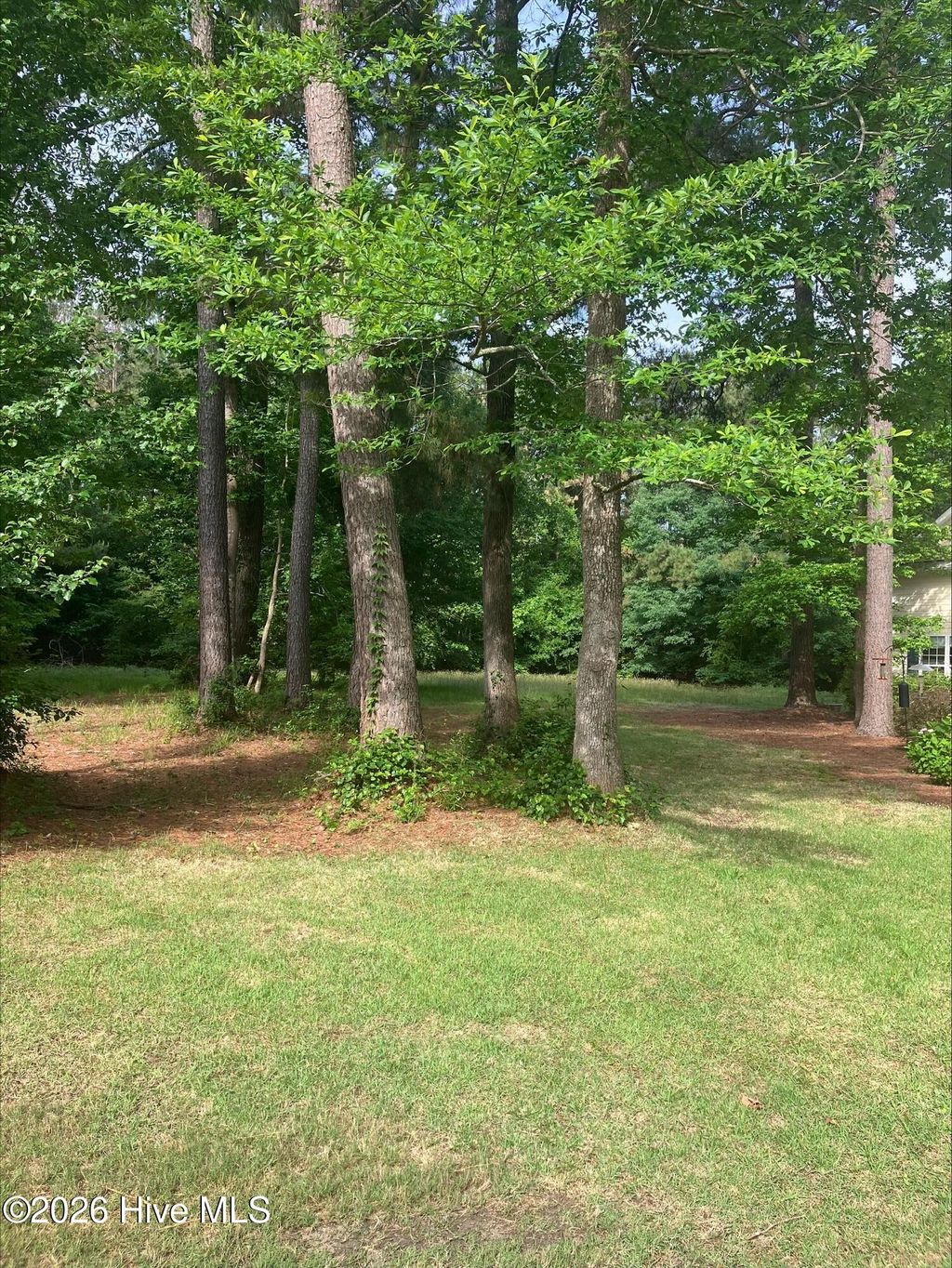 Photo of 157 Southern Magnolia Lane, Wallace, NC 28466 (MLS # 100573835)