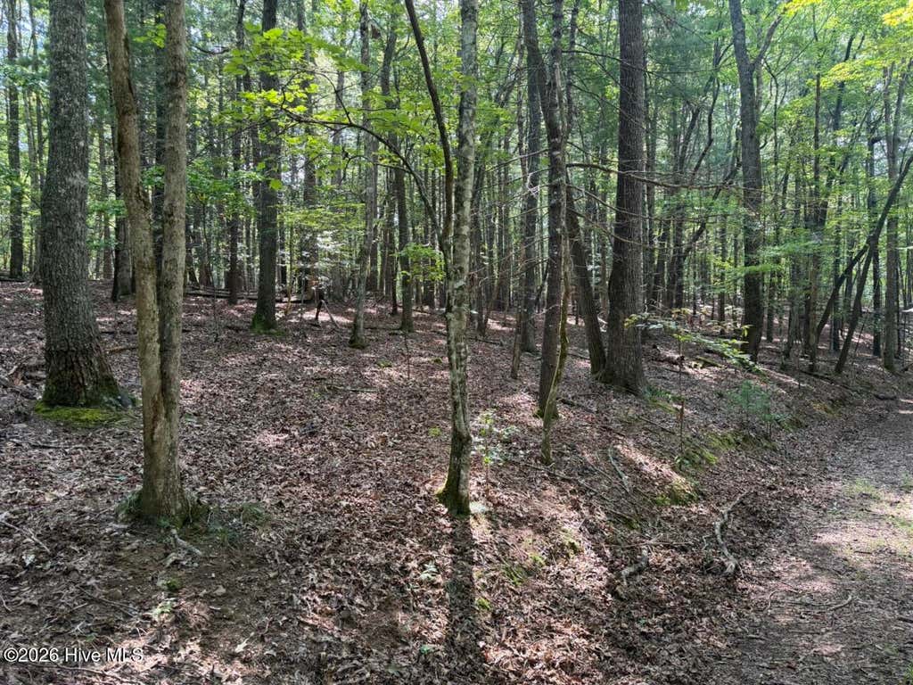 Photo of 919 Panther Top Road, Murphy, NC 28906 (MLS # 100596461)