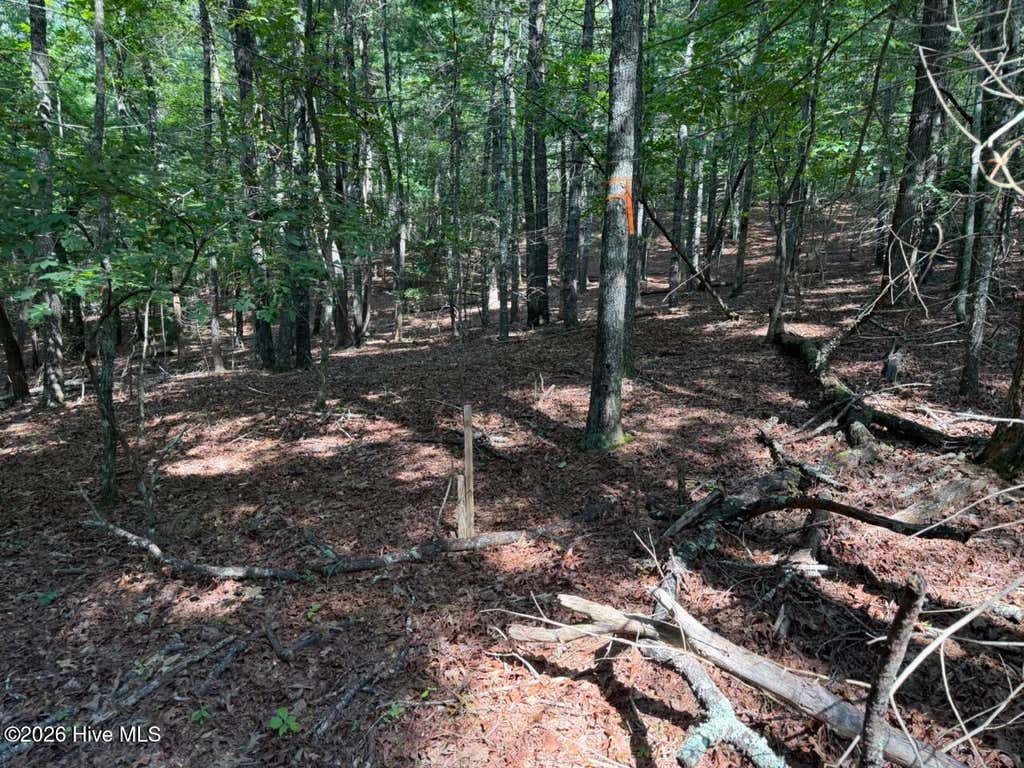 Photo of 919 Panther Top Road, Murphy, NC 28906 (MLS # 100596461)