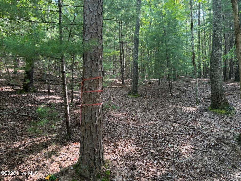 Photo of 919 Panther Top Road, Murphy, NC 28906 (MLS # 100596461)