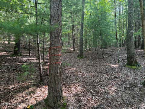 Vacant Land For Sale - 919 Panther Top Road<br/> Cherokee County, Murphy, NC 28906