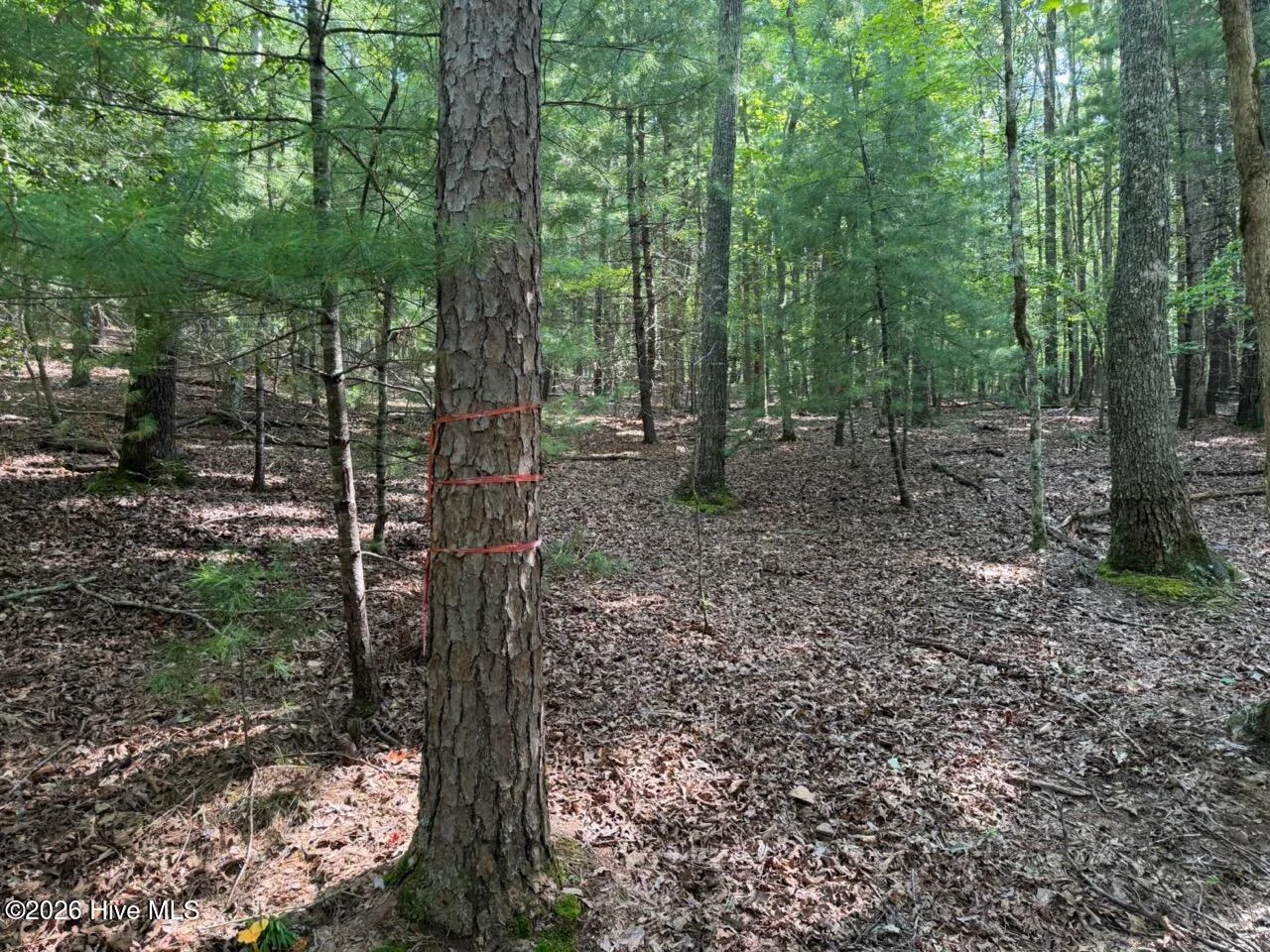 919 Panther Top Road