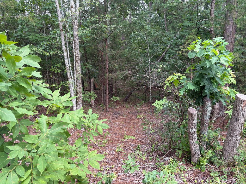 Photo of 15 Overlook Point, McCormick, SC 29835 (MLS # 544602)