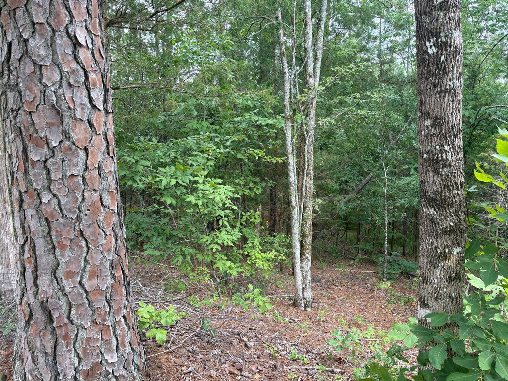 Photo of 15 Overlook Point, McCormick, SC 29835 (MLS # 544602)