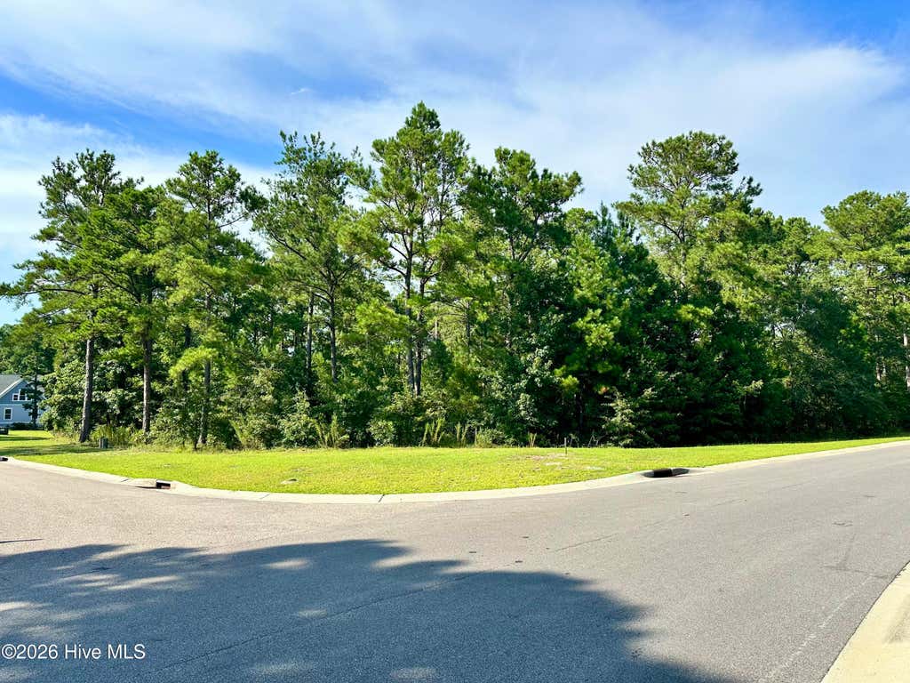 Photo of 3775 Hallmark Road NE, Leland, NC 28451 (MLS # 100597846)