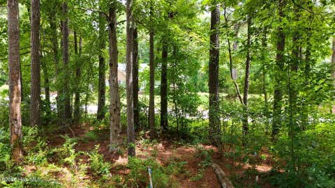 Tiny photo for 0 Horizon Crest, Hampstead, NC 28443 (MLS # 100590087)