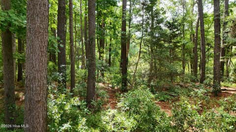 Tiny photo for 0 Horizon Crest, Hampstead, NC 28443 (MLS # 100590087)