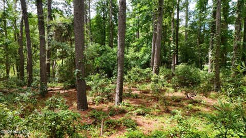 Tiny photo for 0 Horizon Crest, Hampstead, NC 28443 (MLS # 100590087)