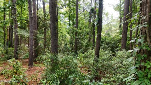 Tiny photo for 0 Horizon Crest, Hampstead, NC 28443 (MLS # 100590087)