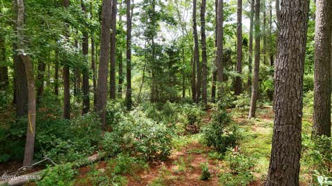 Tiny photo for 0 Horizon Crest, Hampstead, NC 28443 (MLS # 100590087)