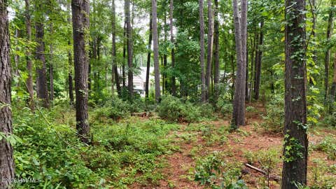 Tiny photo for 0 Horizon Crest, Hampstead, NC 28443 (MLS # 100590087)