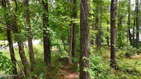 Tiny photo for 0 Horizon Crest, Hampstead, NC 28443 (MLS # 100590087)
