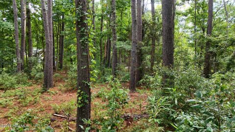 Tiny photo for 0 Horizon Crest, Hampstead, NC 28443 (MLS # 100590087)
